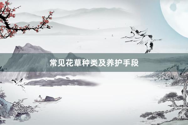常见花草种类及养护手段